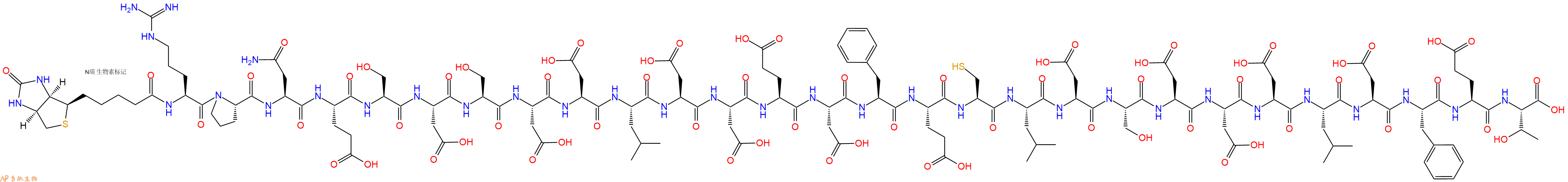 专肽生物产品Biotinyl-Arg-Pro-Asn-Glu-Ser-Asp-Ser-Asp-Asp-Leu-Asp-Asp-Glu-Asp-Phe-Glu-Cys-Leu-Asp-Ser-Asp-Asp-Asp-Leu-Asp-Phe-Glu-Thr-OH