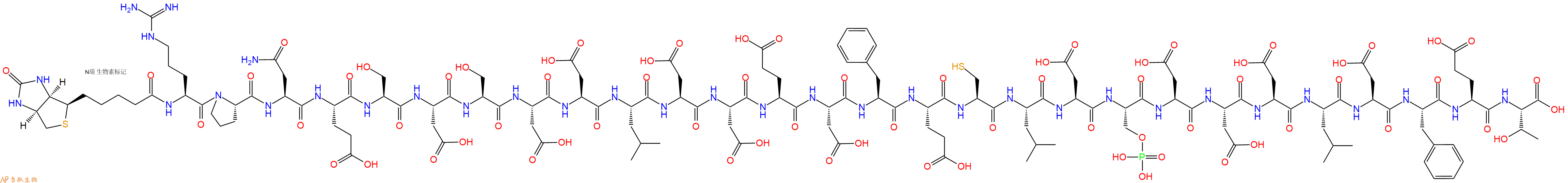 专肽生物产品Biotinyl-Arg-Pro-Asn-Glu-Ser-Asp-Ser-Asp-Asp-Leu-Asp-Asp-Glu-Asp-Phe-Glu-Cys-Leu-Asp-Ser(PO3H2)-Asp-Asp-Asp-Leu-Asp-Phe-Glu-Thr-OH
