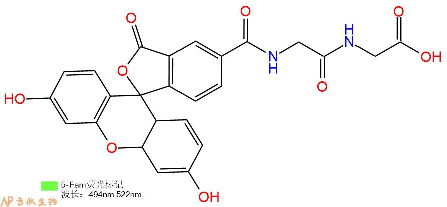 专肽生物产品5FAM-Gly-Gly-OH