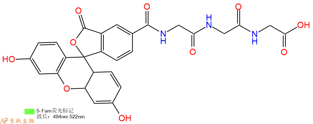 专肽生物产品5FAM-Gly-Gly-Gly-OH