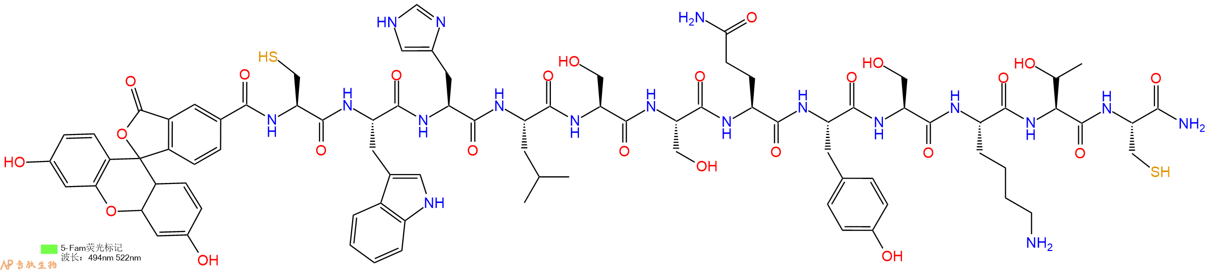 专肽生物产品5FAM-Cys-Trp-His-Leu-Ser-Ser-Gln-Tyr-Ser-Lys-Thr-Cys-CONH2