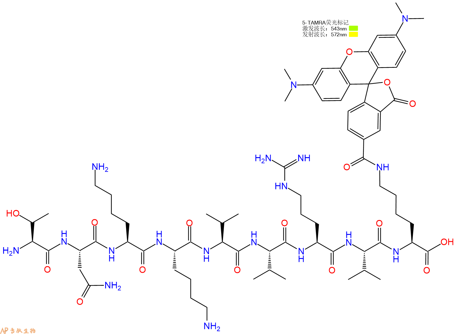 专肽生物产品H2N-Thr-Asn-Lys-Lys-Val-Val-Arg-Val-Lys(TAMRA)-OH