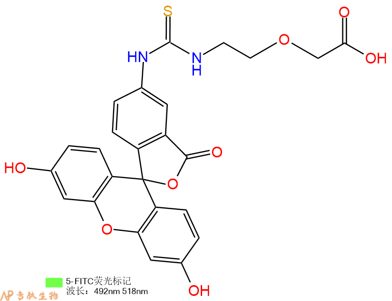 专肽生物产品5FITC-PEG