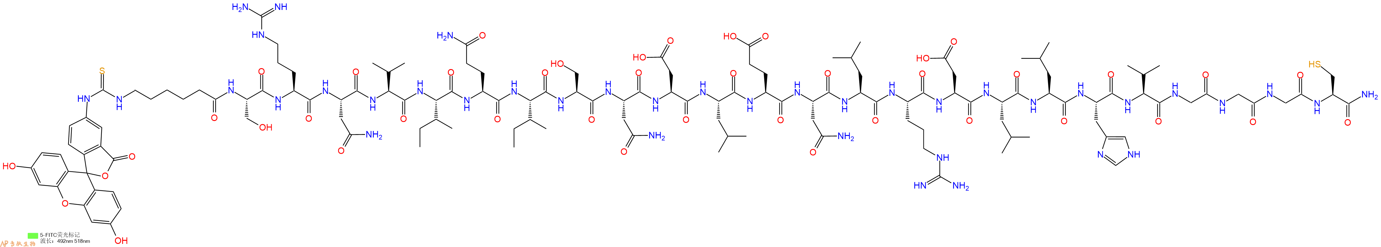 专肽生物产品5FITC-Ahx-Ser-Arg-Asn-Val-Ile-Gln-Ile-Ser-Asn-Asp-Leu-Glu-Asn-Leu-Arg-Asp-Leu-Leu-His-Val-Gly-Gly-Gly-Cys-CONH2