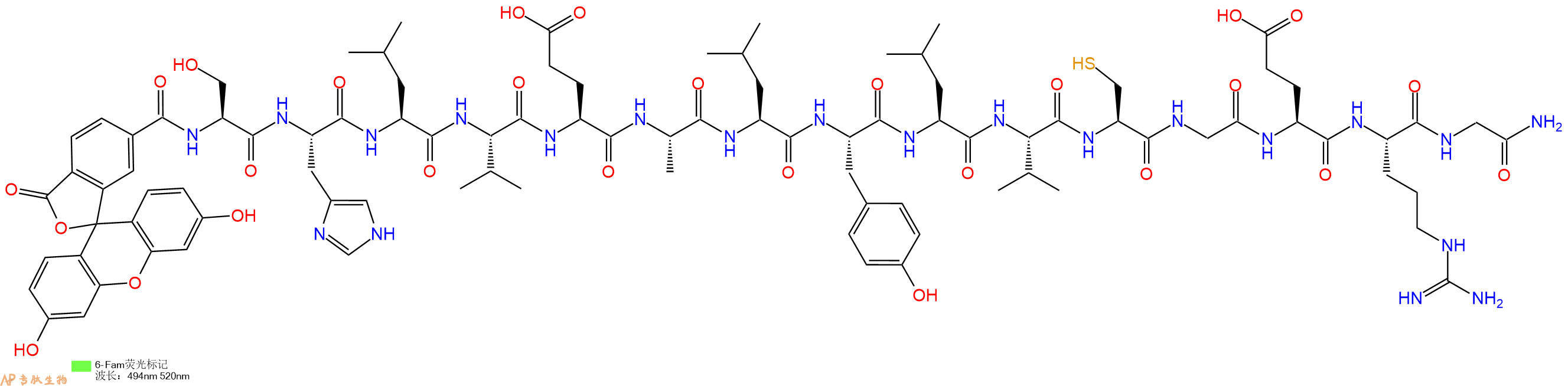专肽生物产品6FAM-Ser-His-Leu-Val-Glu-Ala-Leu-Tyr-Leu-Val-Cys-Gly-Glu-Arg-Gly-CONH2