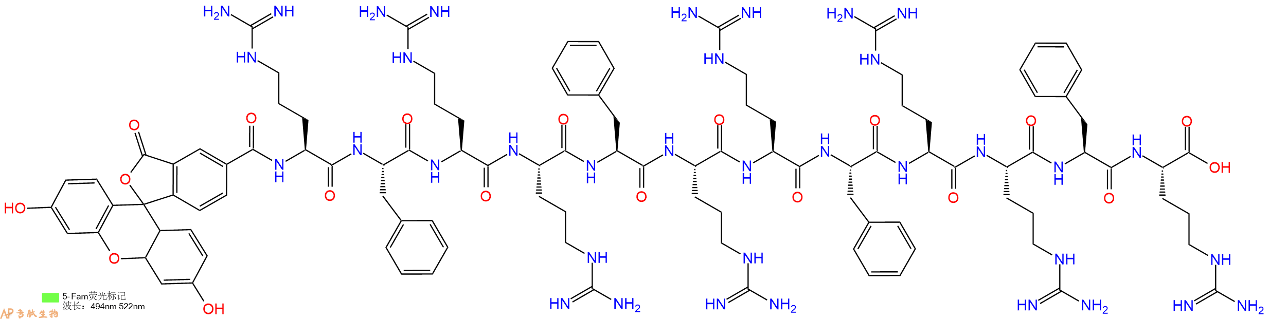 专肽生物产品5FAM-Arg-Phe-Arg-Arg-Phe-Arg-Arg-Phe-Arg-Arg-Phe-Arg-OH