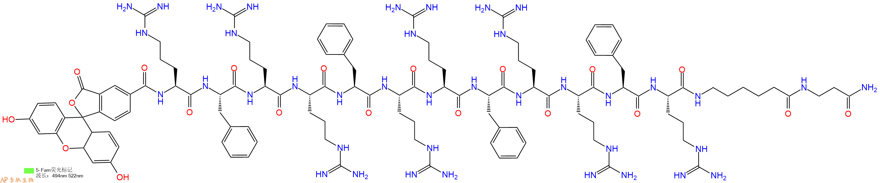 专肽生物产品5FAM-Arg-Phe-Arg-Arg-Phe-Arg-Arg-Phe-Arg-Arg-Phe-Arg-Ahx-&beta;Ala-CONH2