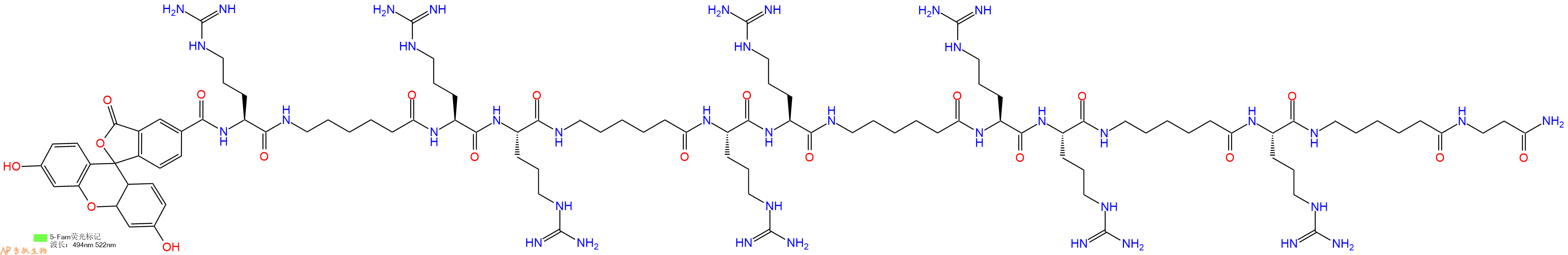 专肽生物产品5FAM-Arg-Ahx-Arg-Arg-Ahx-Arg-Arg-Ahx-Arg-Arg-Ahx-Arg-Ahx-&beta;Ala-CONH2