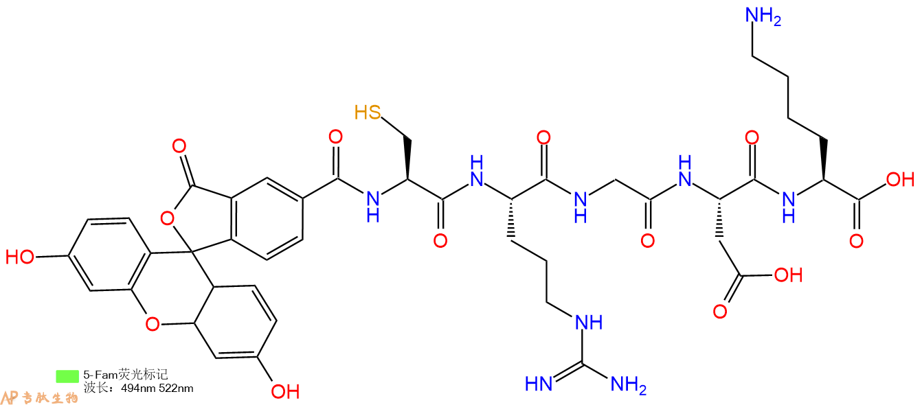 专肽生物产品5FAM-Cys-Arg-Gly-Asp-Lys-OH
