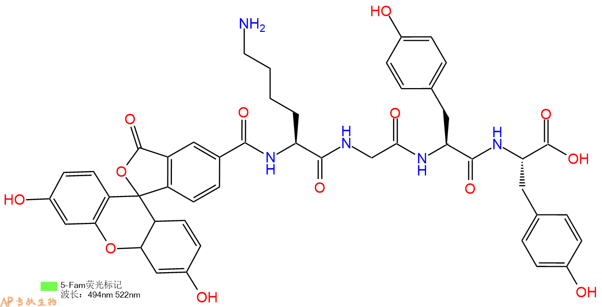 专肽生物产品5FAM-Lys-Gly-Tyr-Tyr-OH