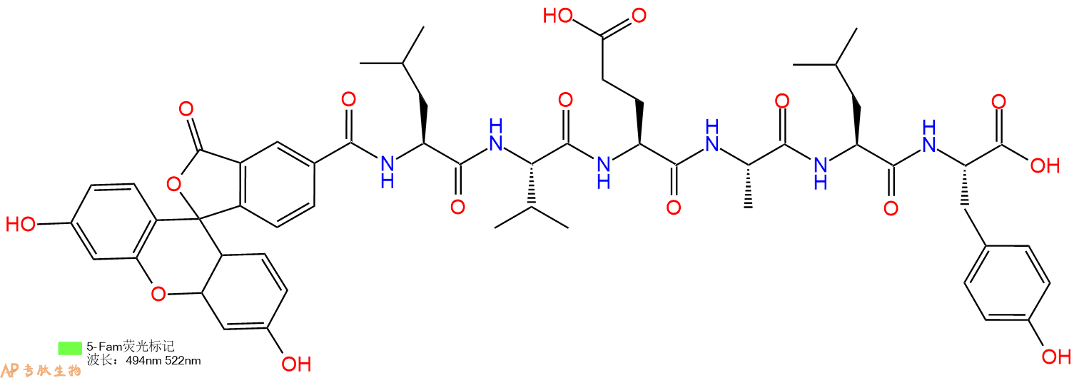 专肽生物产品5FAM-Leu-Val-Glu-Ala-Leu-Tyr-OH