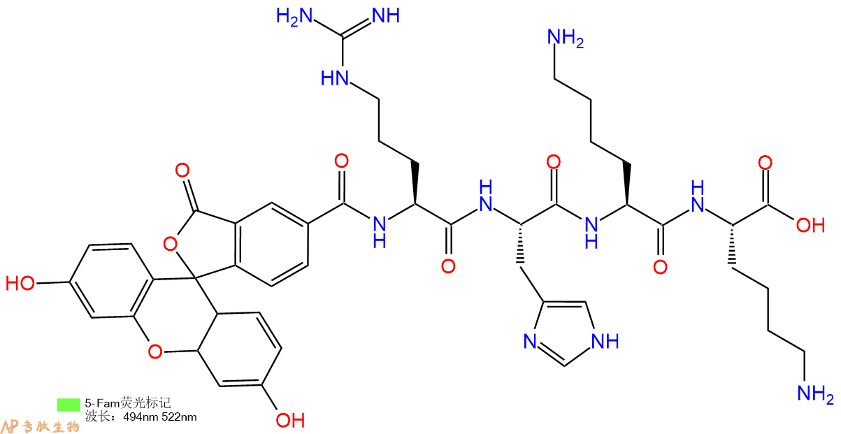 专肽生物产品5FAM-Arg-His-Lys-Lys-OH