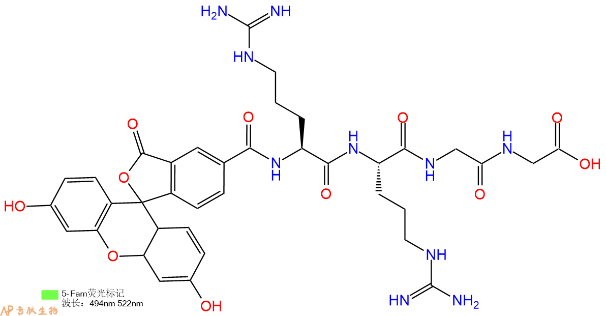 专肽生物产品5FAM-Arg-Arg-Gly-Gly-OH