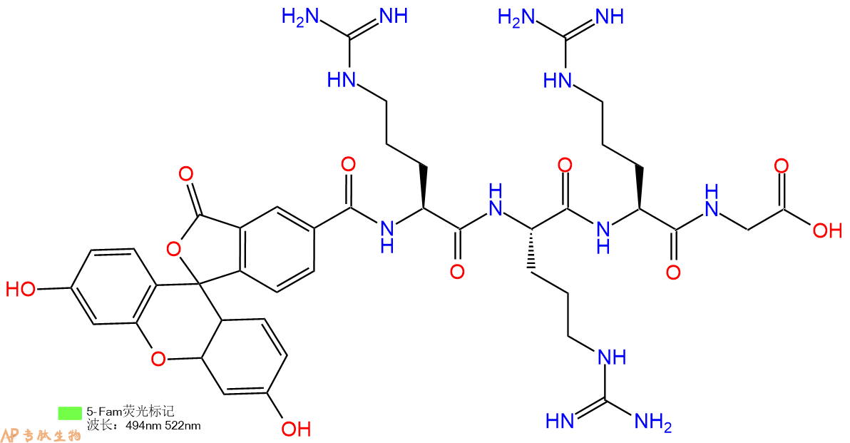 专肽生物产品5FAM-Arg-Arg-Arg-Gly-OH