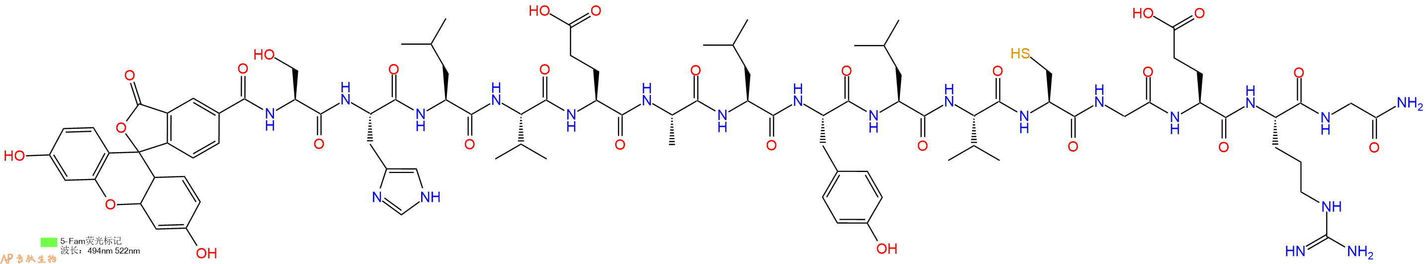 专肽生物产品5FAM-Ser-His-Leu-Val-Glu-Ala-Leu-Tyr-Leu-Val-Cys-Gly-Glu-Arg-Gly-CONH2