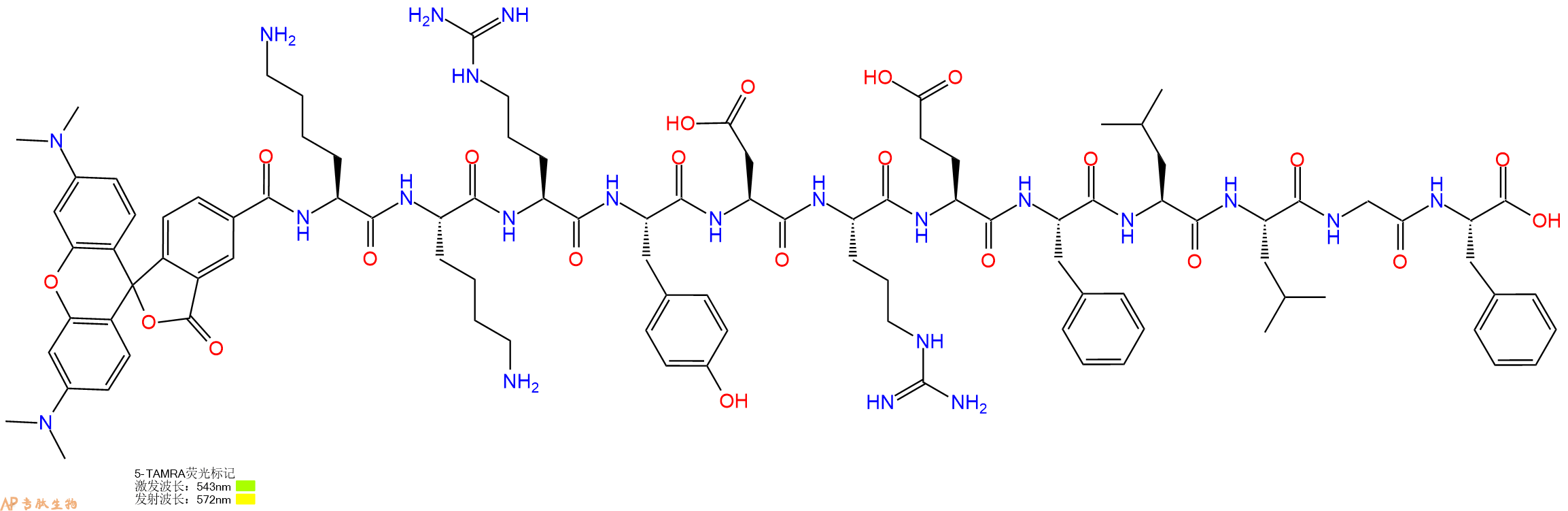 专肽生物产品5TAMRA-Lys-Lys-Arg-Tyr-Asp-Arg-Glu-Phe-Leu-Leu-Gly-Phe-OH