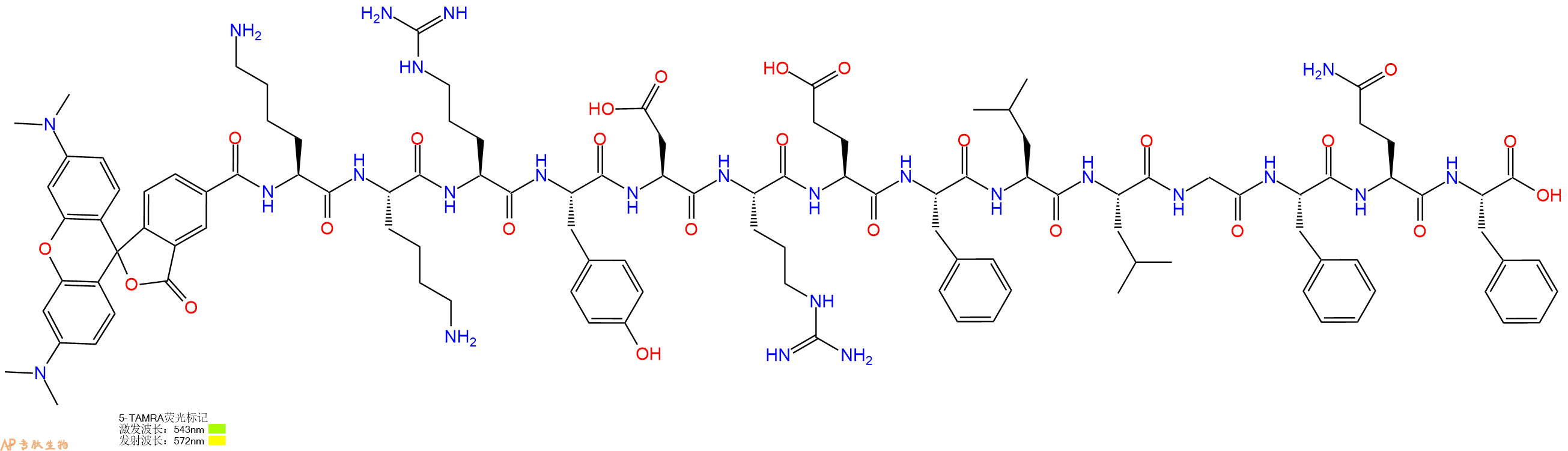 专肽生物产品5TAMRA-Lys-Lys-Arg-Tyr-Asp-Arg-Glu-Phe-Leu-Leu-Gly-Phe-Gln-Phe-OH