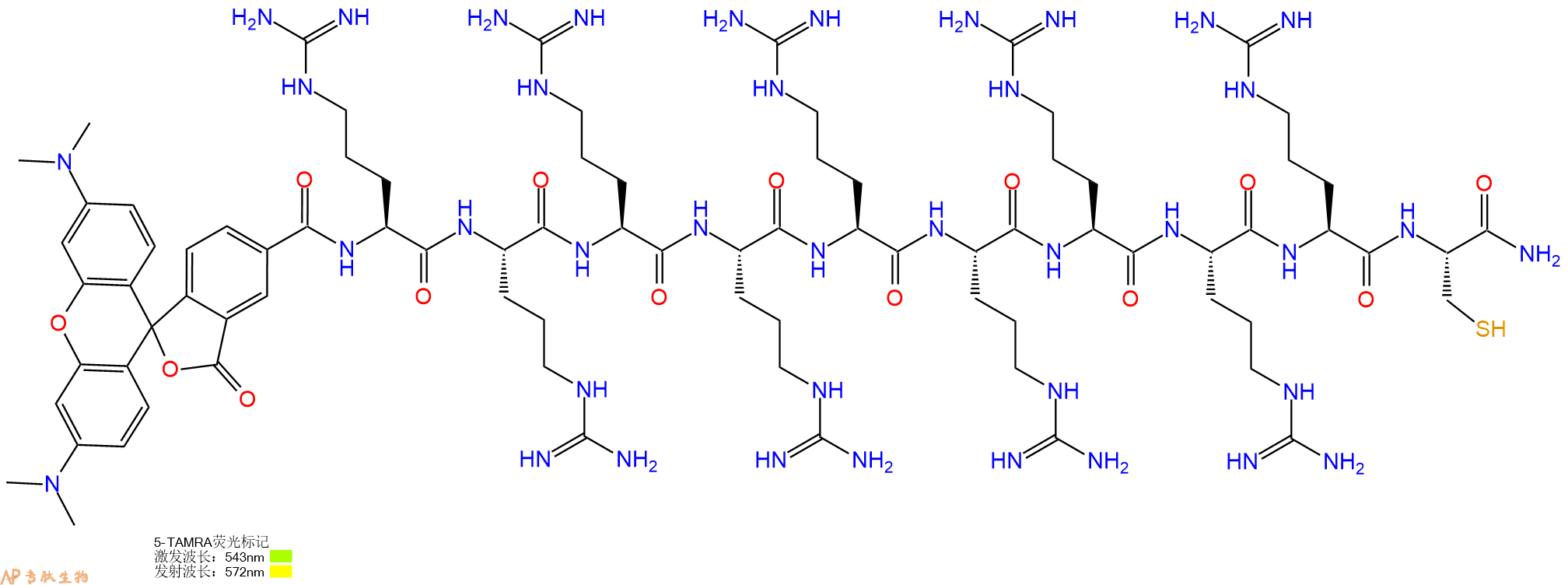 专肽生物产品5TAMRA-Arg-Arg-Arg-Arg-Arg-Arg-Arg-Arg-Arg-Cys-CONH2