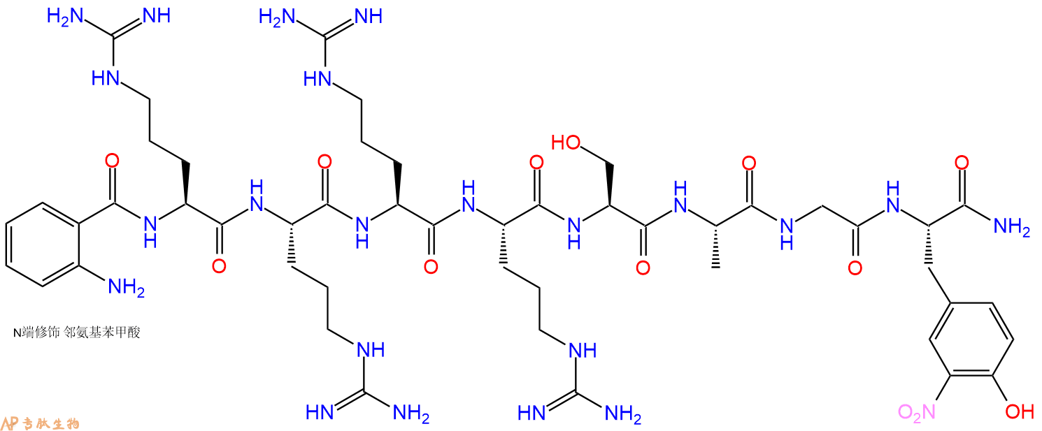 专肽生物产品Abz-Arg-Arg-Arg-Arg-Ser-Ala-Gly-Tyr(3NO2)-CONH2