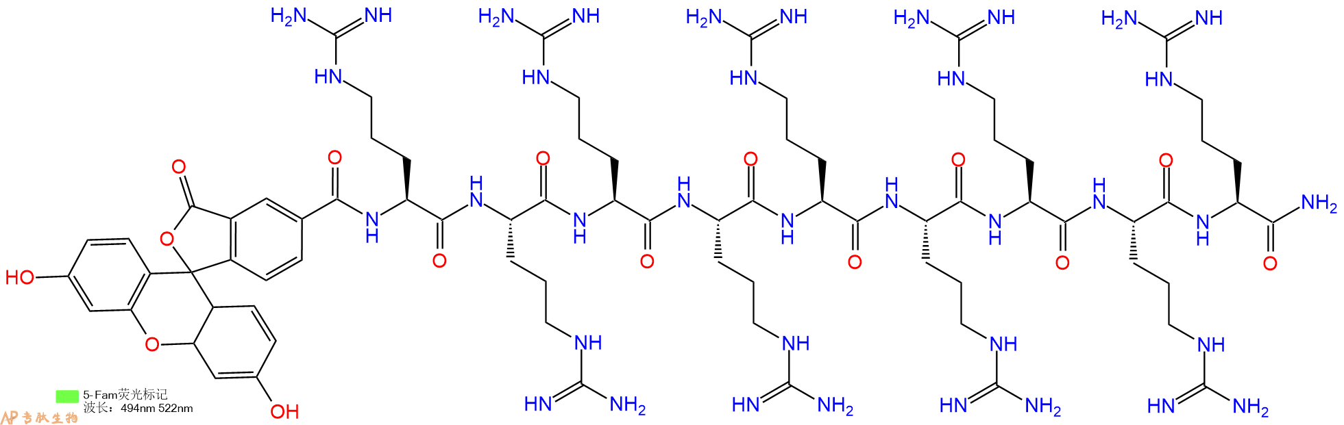 专肽生物产品5FAM-Arg-Arg-Arg-Arg-Arg-Arg-Arg-Arg-Arg-CONH2