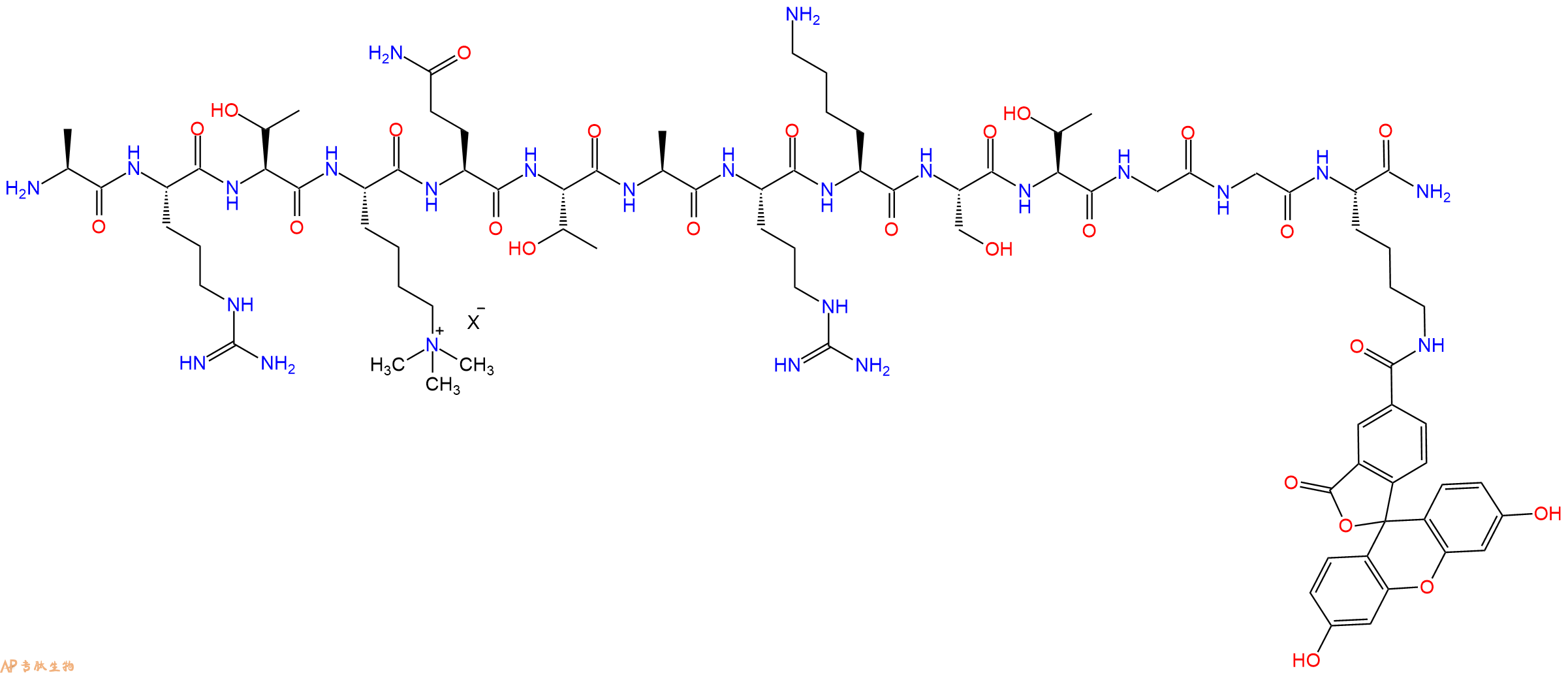 专肽生物产品H2N-Ala-Arg-Thr-Lys(Me)3-Gln-Thr-Ala-Arg-Lys-Ser-Thr-Gly-Gly-Lys(5FAM)-CONH2