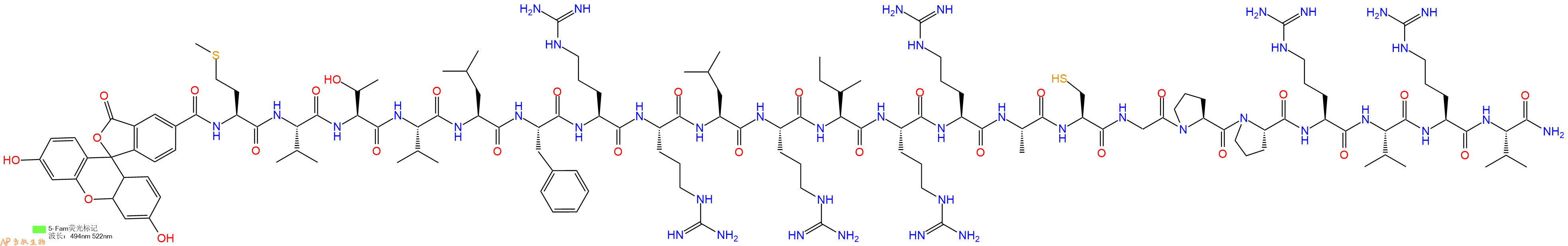 专肽生物产品5FAM-Met-Val-Thr-Val-Leu-Phe-Arg-Arg-Leu-Arg-Ile-Arg-Arg-Ala-Cys-Gly-Pro-Pro-Arg-Val-Arg-Val-CONH2