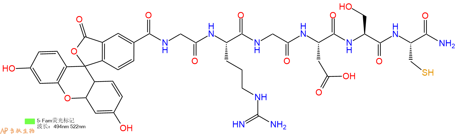 专肽生物产品5FAM-Gly-Arg-Gly-Asp-Ser-Cys-CONH2