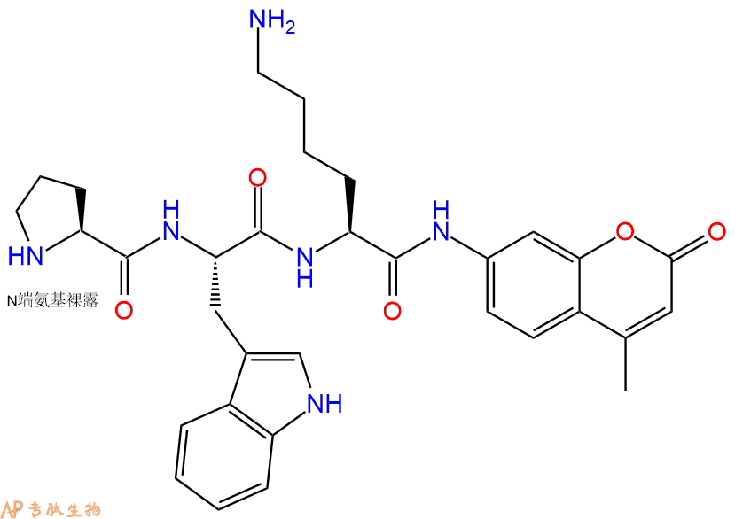 专肽生物产品H2N-Pro-Trp-Lys-AMC