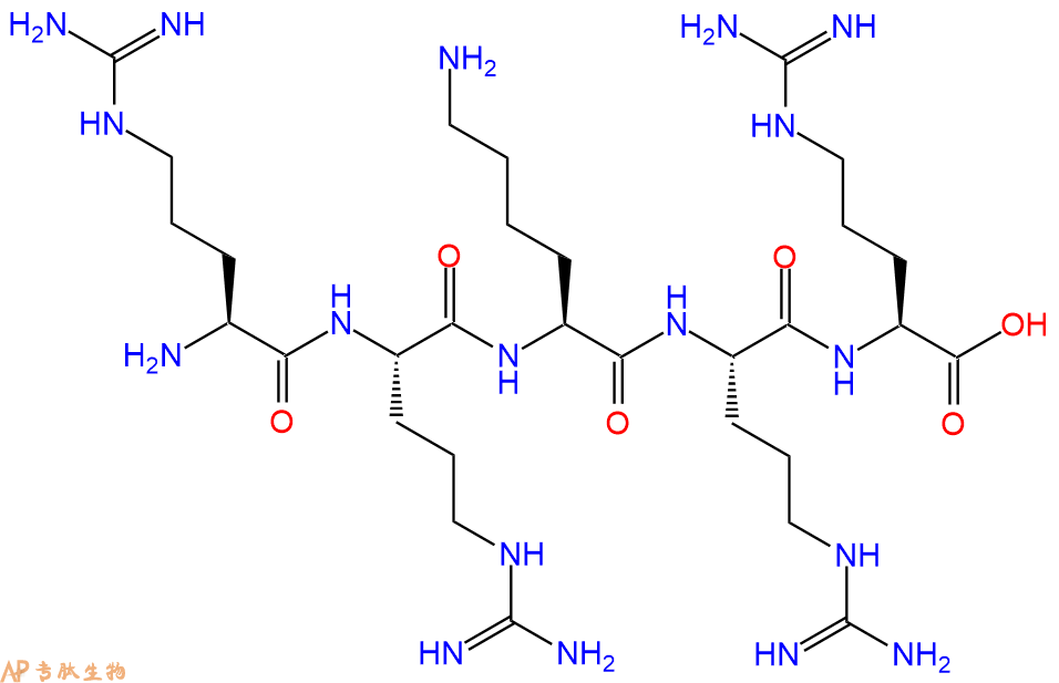 专肽生物产品H2N-Arg-Arg-Lys-Arg-Arg-OH