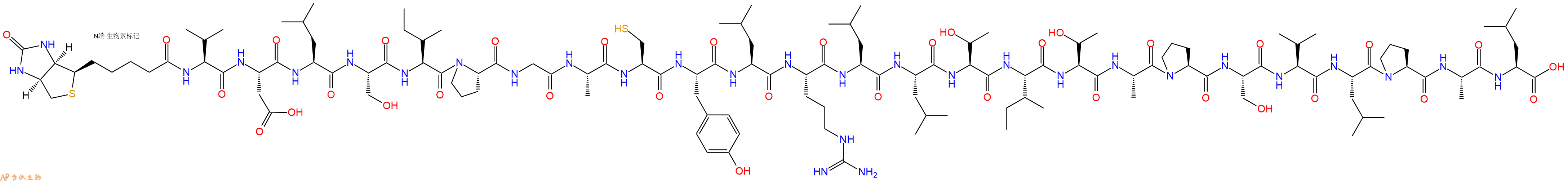专肽生物产品Biotinyl-Val-Asp-Leu-Ser-Ile-Pro-Gly-Ala-Cys-Tyr-Leu-Arg-Leu-Leu-Thr-Ile-Thr-Ala-Pro-Ser-Val-Leu-Pro-Ala-Leu-OH
