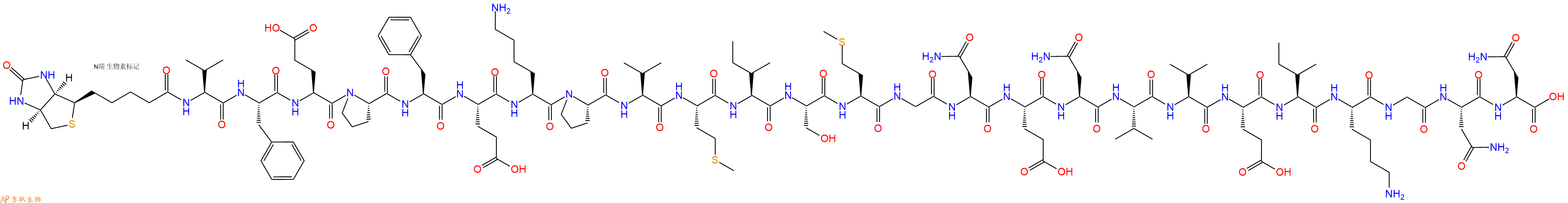 专肽生物产品Biotinyl-Val-Phe-Glu-Pro-Phe-Glu-Lys-Pro-Val-Met-Ile-Ser-Met-Gly-Asn-Glu-Asn-Val-Val-Glu-Ile-Lys-Gly-Asn-Asn-OH