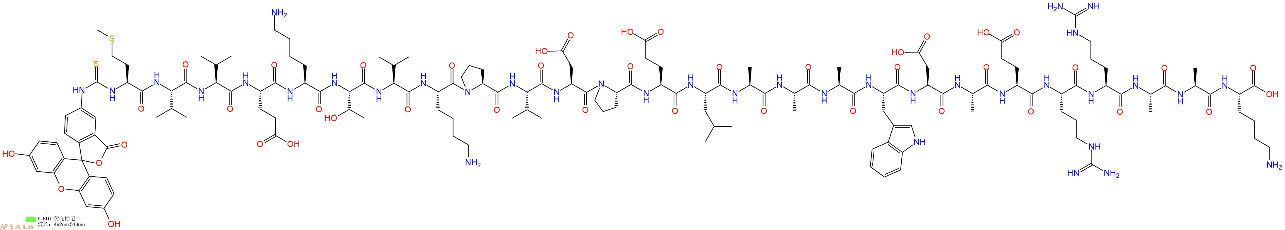 专肽生物产品5FITC-Met-Val-Val-Glu-Lys-Thr-Val-Lys-Pro-Val-Asp-Pro-Glu-Leu-Ala-Ala-Ala-Trp-Asp-Ala-Glu-Arg-Arg-Ala-Ala-Lys-OH