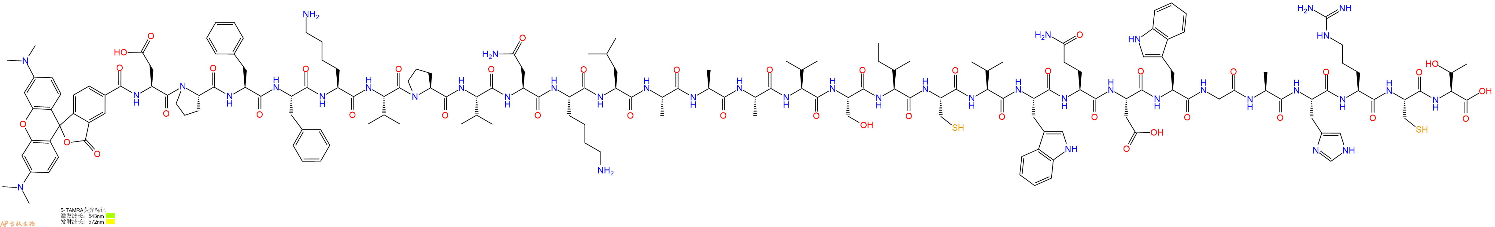 专肽生物产品5TAMRA-Asp-Pro-Phe-Phe-Lys-Val-Pro-Val-Asn-Lys-Leu-Ala-Ala-Ala-Val-Ser-Ile-Cys-Val-Trp-Gln-Asp-Trp-Gly-Ala-His-Arg-Cys-Thr-OH