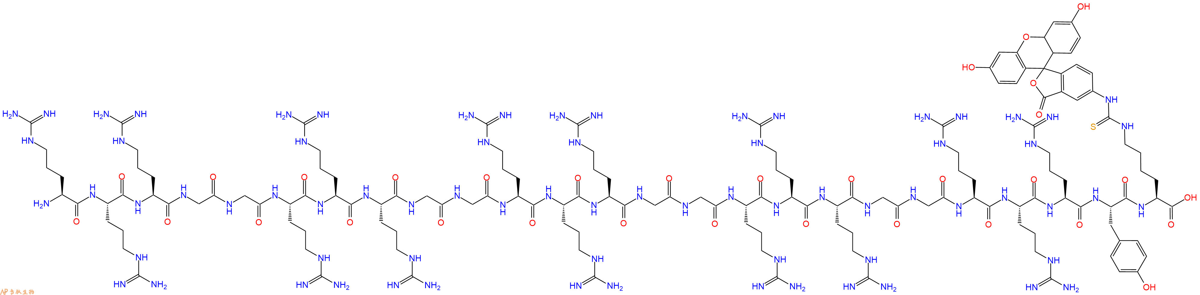 专肽生物产品H2N-Arg-Arg-Arg-Gly-Gly-Arg-Arg-Arg-Gly-Gly-Arg-Arg-Arg-Gly-Gly-Arg-Arg-Arg-Gly-Gly-Arg-Arg-Arg-Tyr-Lys(FITC)-OH