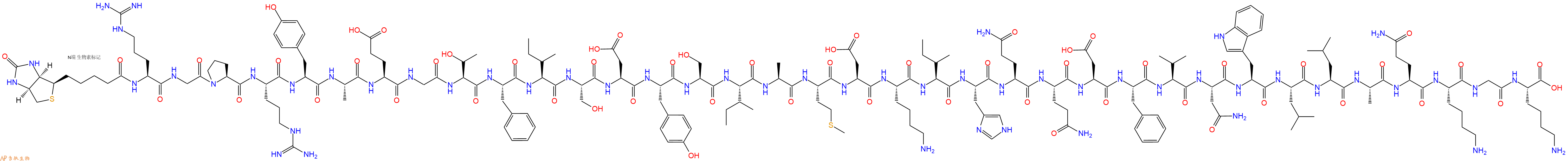 专肽生物产品Biotinyl-Arg-Gly-Pro-Arg-Tyr-Ala-Glu-Gly-Thr-Phe-Ile-Ser-Asp-Tyr-Ser-Ile-Ala-Met-Asp-Lys-Ile-His-Gln-Gln-Asp-Phe-Val-Asn-Trp-Leu-Leu-Ala-Gln-Lys-Gly-Lys-OH