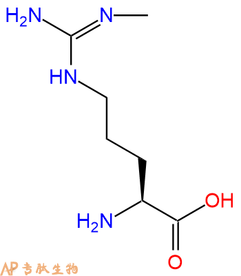 专肽生物产品H2N-Arg(Me)-OH53308-83-1