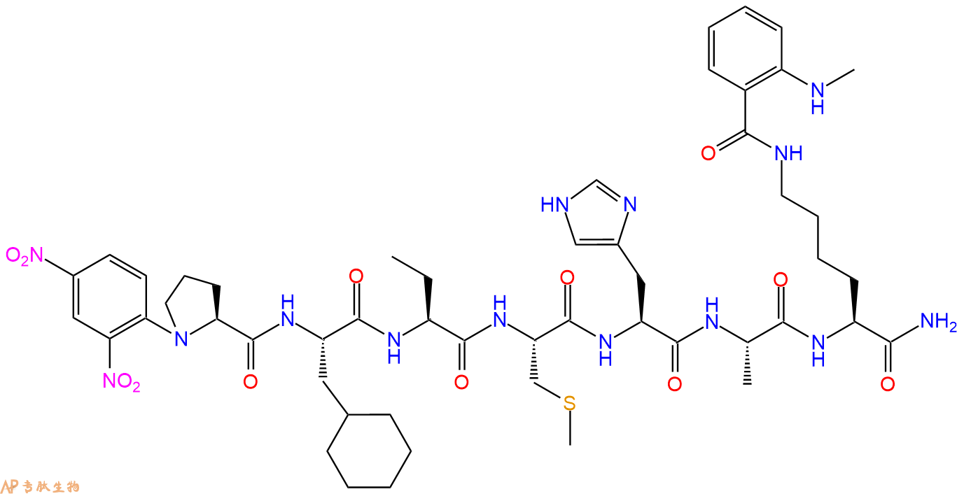 专肽生物产品MMP-1 inhibitor