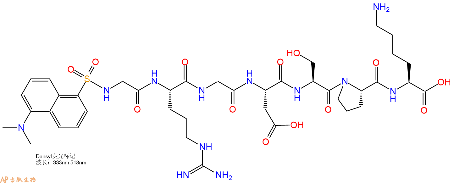 专肽生物产品Dansyl-Gly-Arg-Gly-Asp-Ser-Pro-Lys-OH