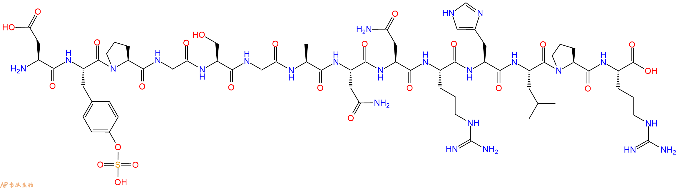 专肽生物产品H2N-Asp-Tyr(SO3H)-Pro-Gly-Ser-Gly-Ala-Asn-Asn-Arg-His-Leu-Pro-Arg-OH