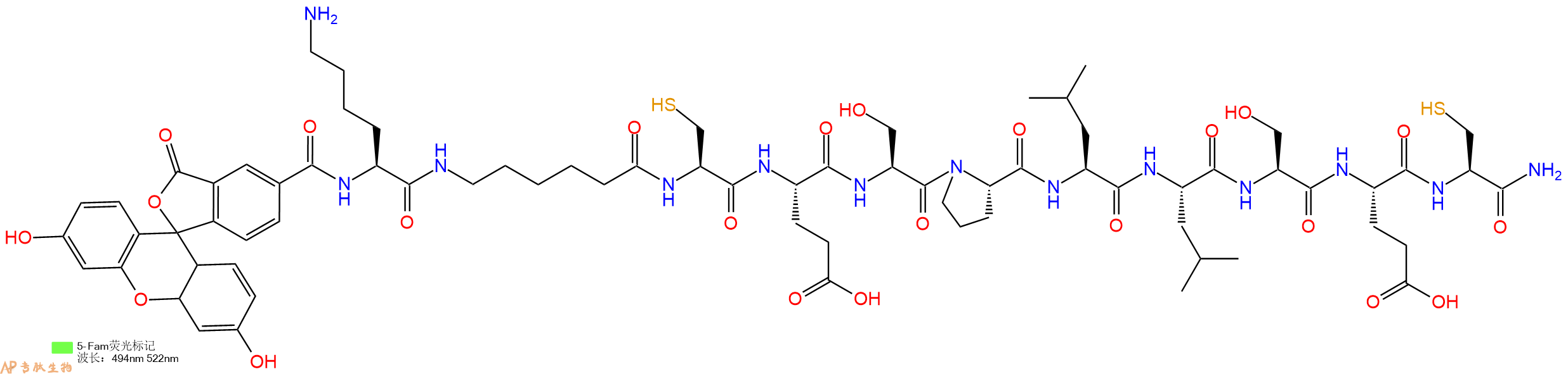 专肽生物产品5FAM-Lys-Ahx-Cys-Glu-Ser-Pro-Leu-Leu-Ser-Glu-Cys-CONH2