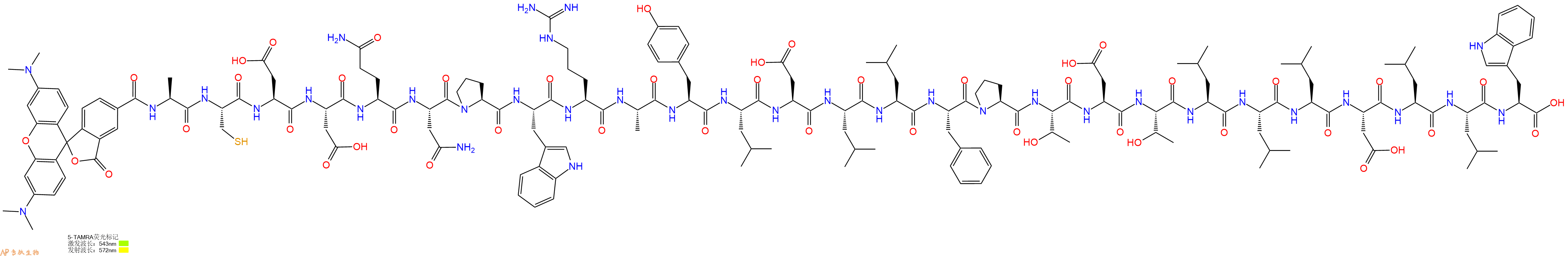 专肽生物产品5TAMRA-Ala-Cys-Asp-Asp-Gln-Asn-Pro-Trp-Arg-Ala-Tyr-Leu-Asp-Leu-Leu-Phe-Pro-Thr-Asp-Thr-Leu-Leu-Leu-Asp-Leu-Leu-Trp-OH