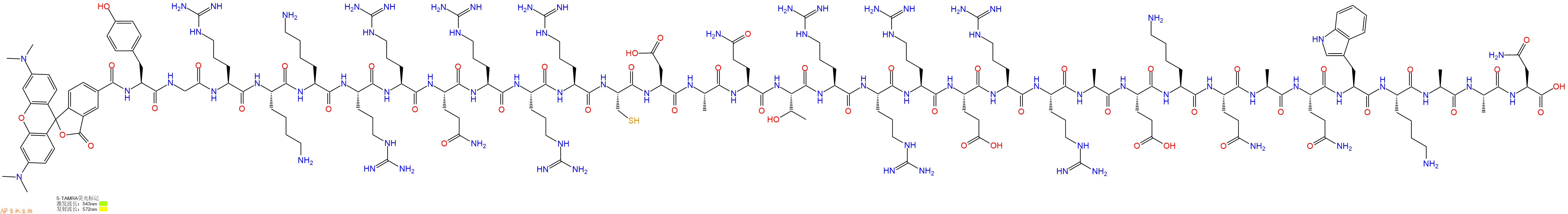 专肽生物产品5TAMRA-Tyr-Gly-Arg-Lys-Lys-Arg-Arg-Gln-Arg-Arg-Arg-Cys-Asp-Ala-Gln-Thr-Arg-Arg-Arg-Glu-Arg-Arg-Ala-Glu-Lys-Gln-Ala-Gln-Trp-Lys-Ala-Ala-Asn-OH