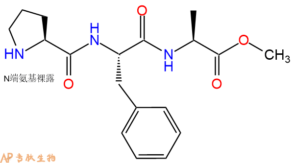 专肽生物产品H2N-Pro-Phe-Ala-OMe