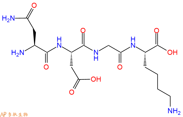 专肽生物产品H2N-Asn-Asp-Gly-Lys-OH