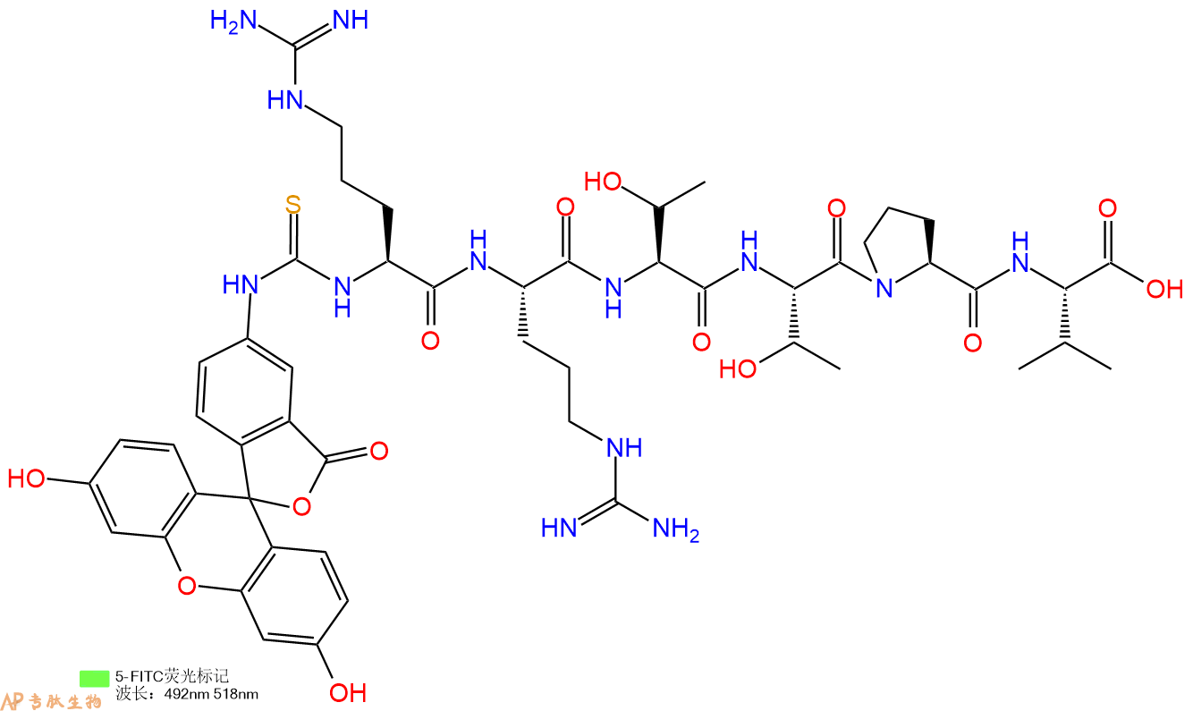 专肽生物产品5FITC-Arg-Arg-Thr-Thr-Pro-Val-OH