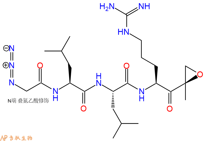 专肽生物产品az-NC-002：AzGly-Leu-Leu-Arg-ek