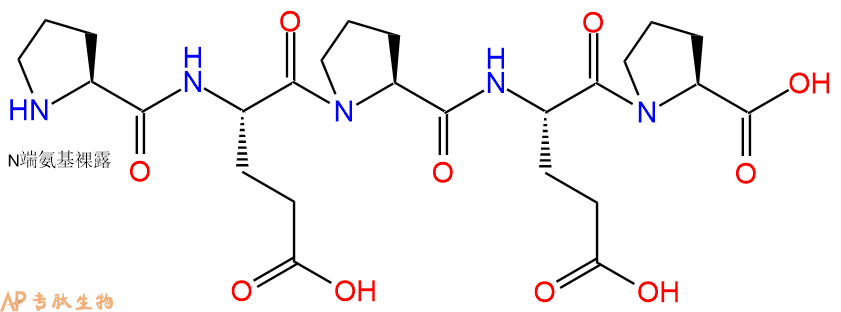 专肽生物产品H2N-Pro-Glu-Pro-Glu-Pro-OH