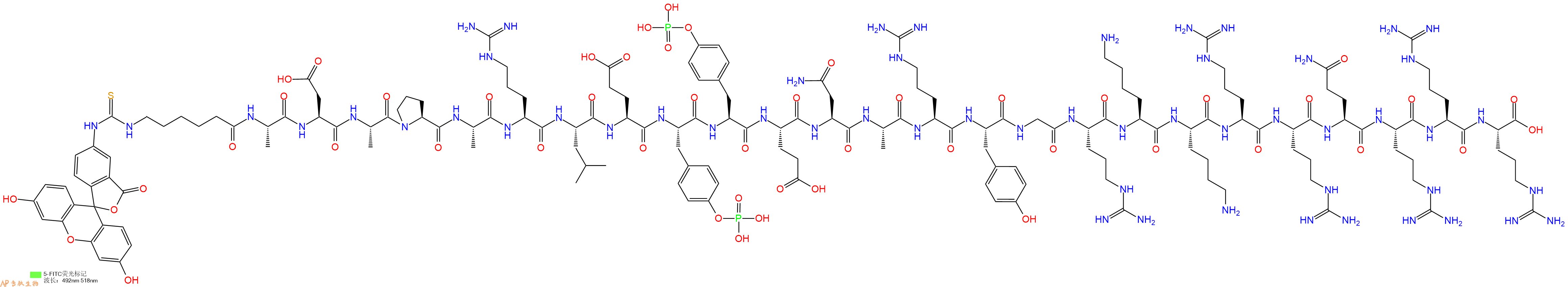 专肽生物产品5FITC-Ahx-Ala-Asp-Ala-Pro-Ala-Arg-Leu-Glu-Tyr(PO3H2)-Tyr(PO3H2)-Glu-Asn-Ala-Arg-Tyr-Gly-Arg-Lys-Lys-Arg-Arg-Gln-Arg-Arg-Arg-OH