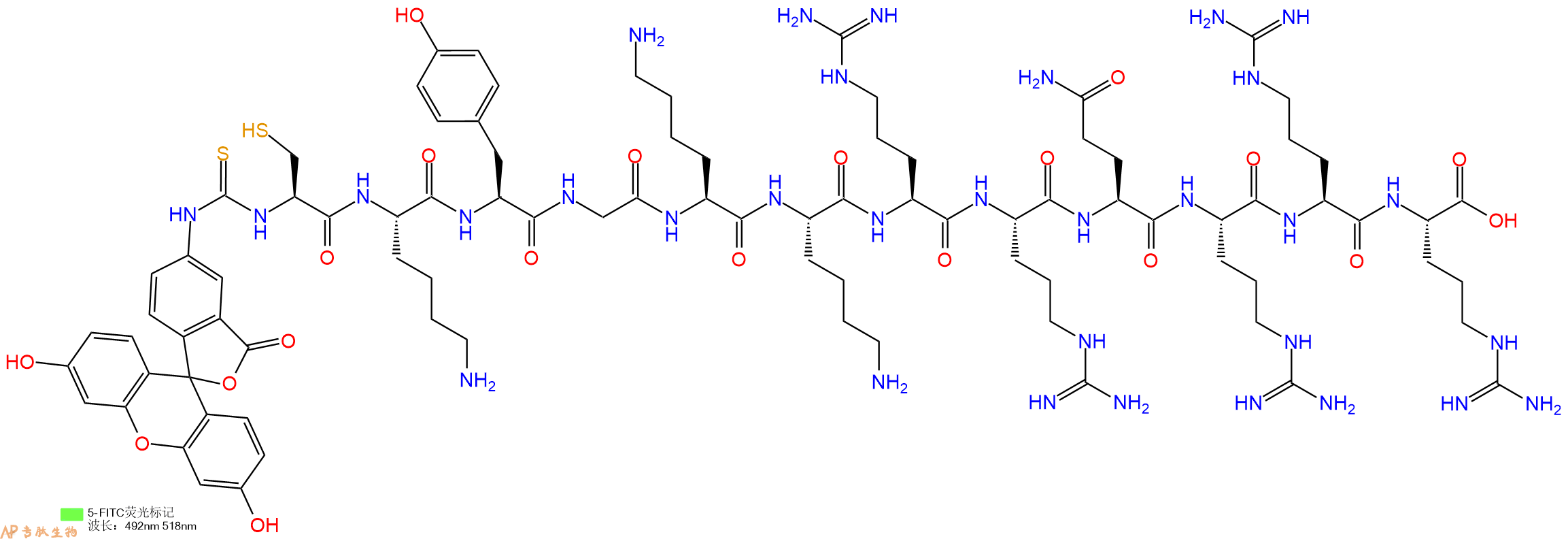 专肽生物产品5FITC-Cys-Lys-Tyr-Gly-Lys-Lys-Arg-Arg-Gln-Arg-Arg-Arg-OH