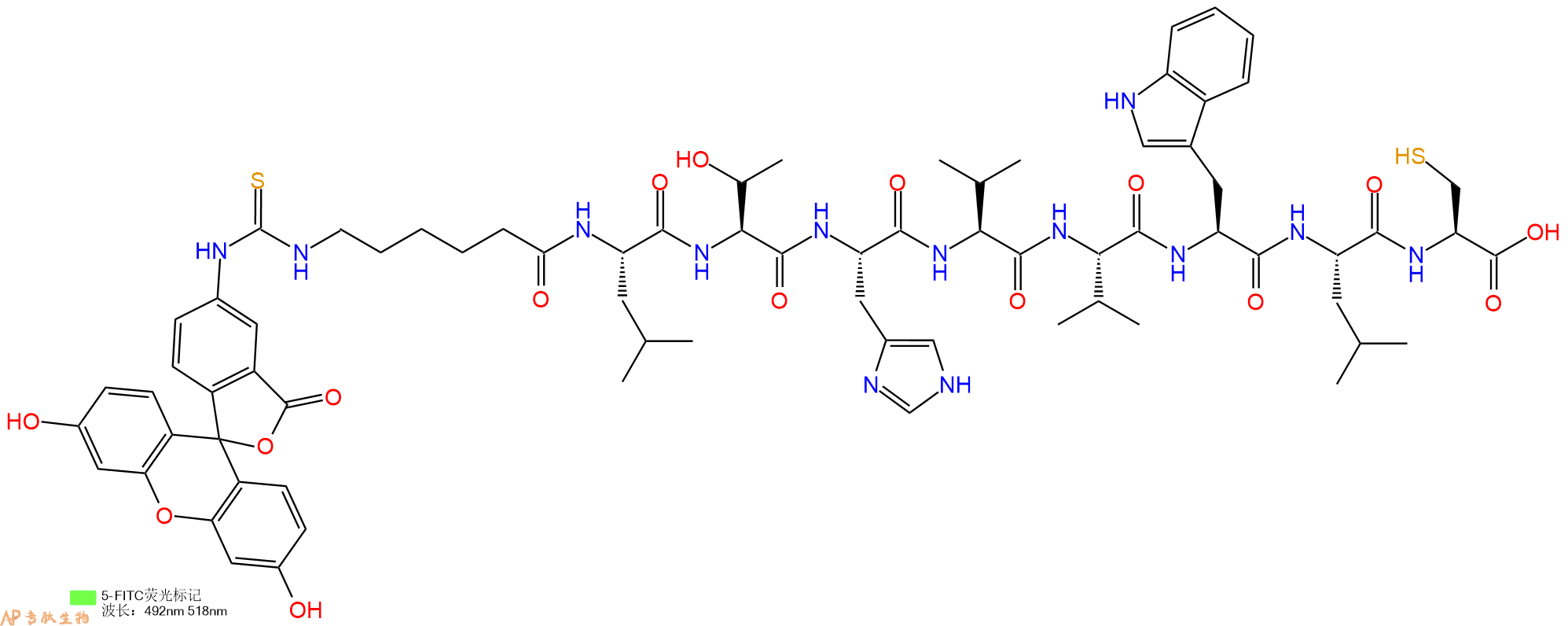 专肽生物产品5FITC-Ahx-Leu-Thr-His-Val-Val-Trp-Leu-Cys-OH
